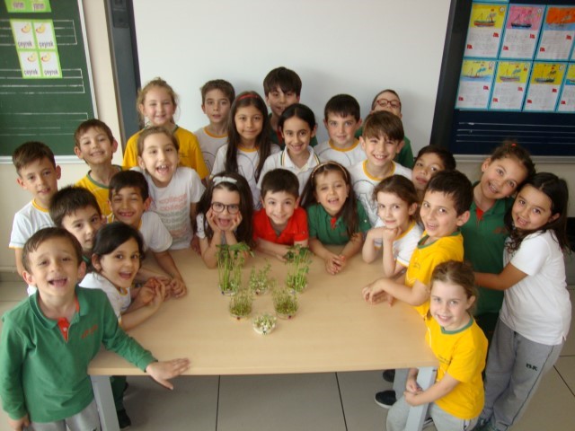1.sınıflar tohum çimlendiriyor...