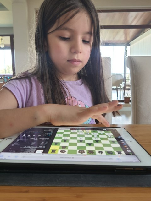 "64 Kare" Online Satranç Turnuvası...