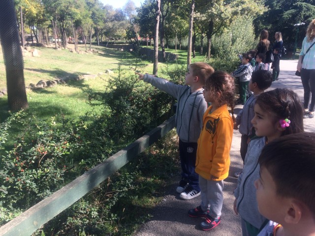  5 Yaş Öğrencilerimiz Hayvanat Bahçesinde…
