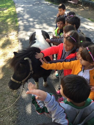  İlkokula Hazırlık Sınıflarımız Hayvan Dostları İle Buluştu…