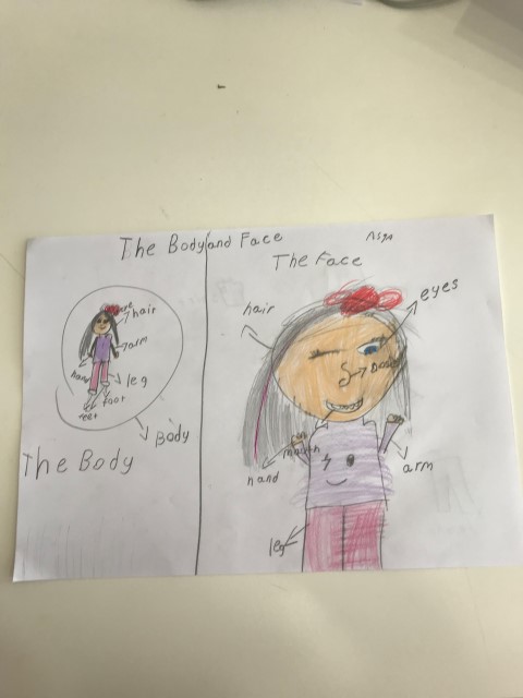 The Body and Face...