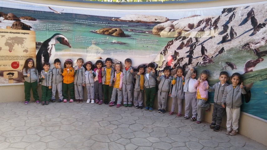  5 Yaş Öğrencilerimiz Hayvanat Bahçesinde…